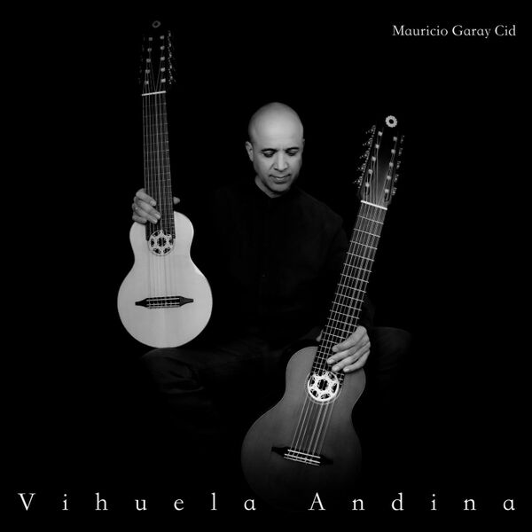 Cover art for Vihuela Andina